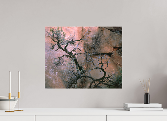 Calligraphy on the Wall