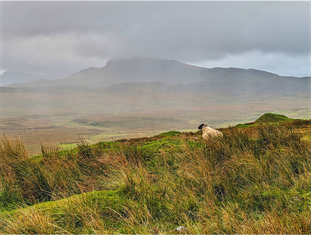 Sovereign of Skye