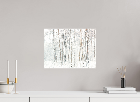 Cold Snap in the Forest