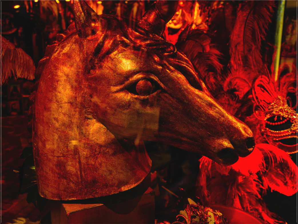 Carnevale di Venezia #1