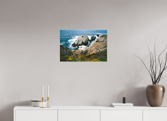 Spring Flowers, Point Lobos