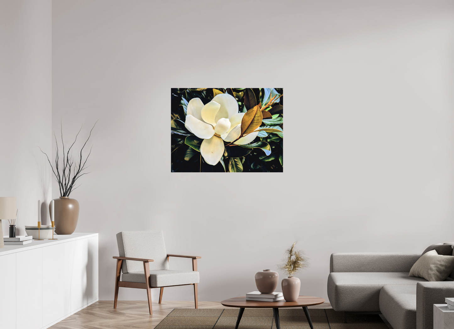Magnolia Grandiflora #1