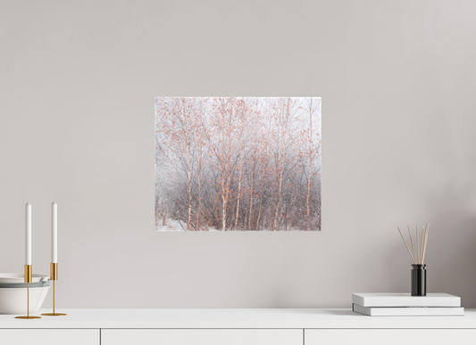 Autumn Leaves Frozen in Central Alberta