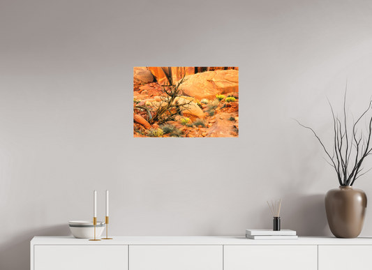 Ghost Ranch Rockscape #1