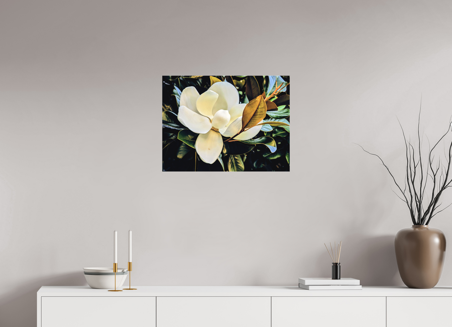 Magnolia Grandiflora #1