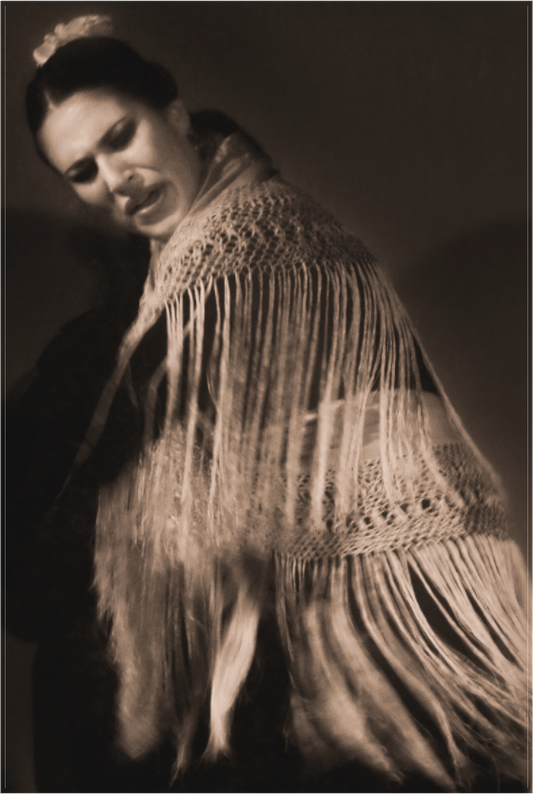 Flamenco Passion #2