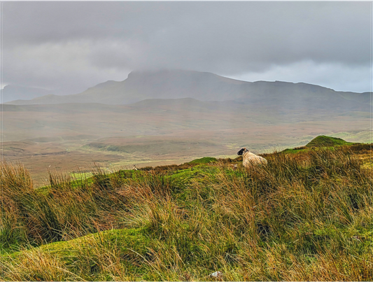 Sovereign of Skye