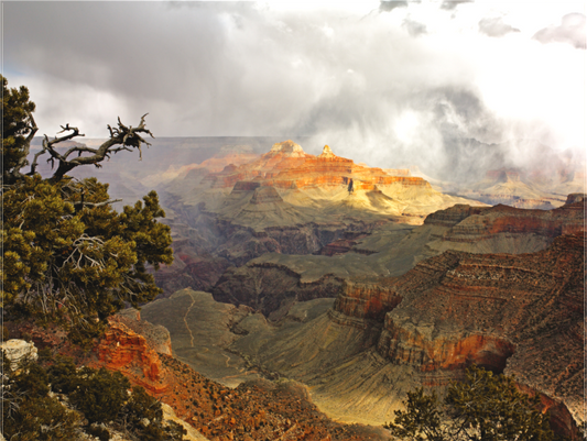 Grand Canyon Snowstorm