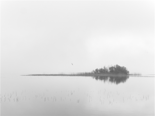 Irish Fog