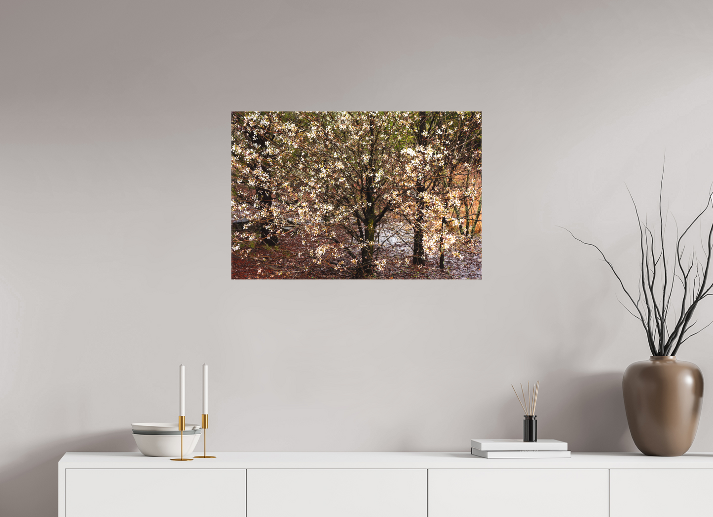 Bradford Pear Blossoms