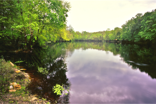 Santa Fe River near Alachua, FL