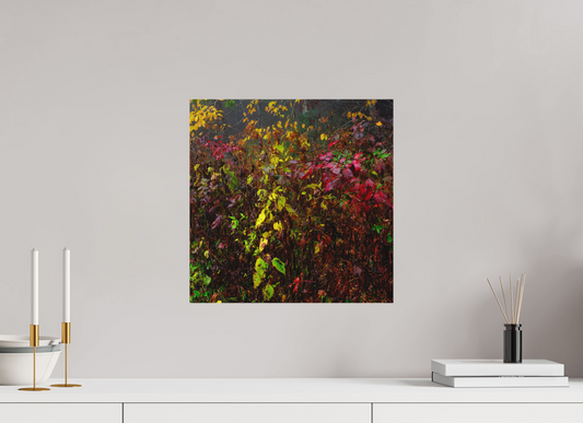 Autumn Abstraction