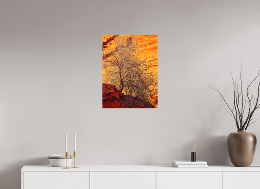 Burning Bush
