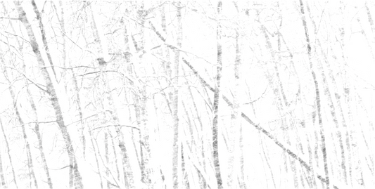 Driven Snowstorm