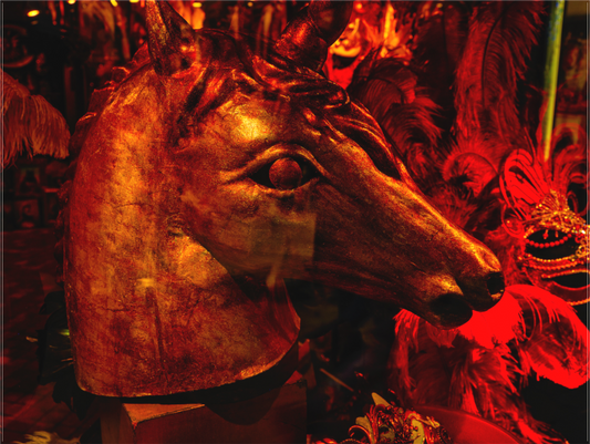Carnevale di Venezia #1