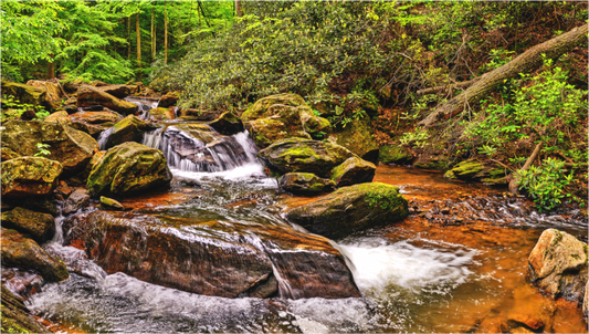 Boulder Strewn Stream Bed
