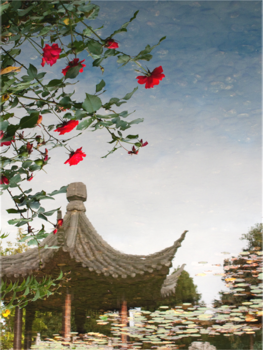 Dreaming In a Chinese Garden