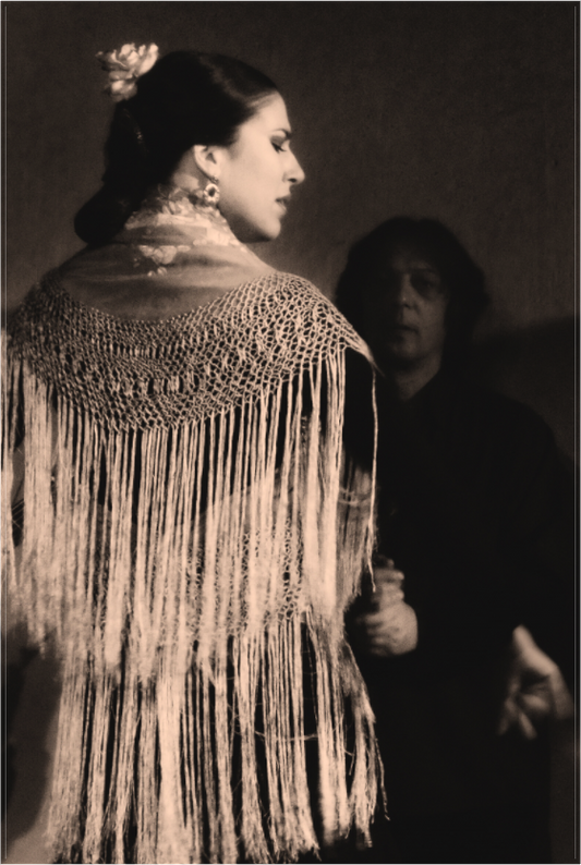 Flamenco Passion #1