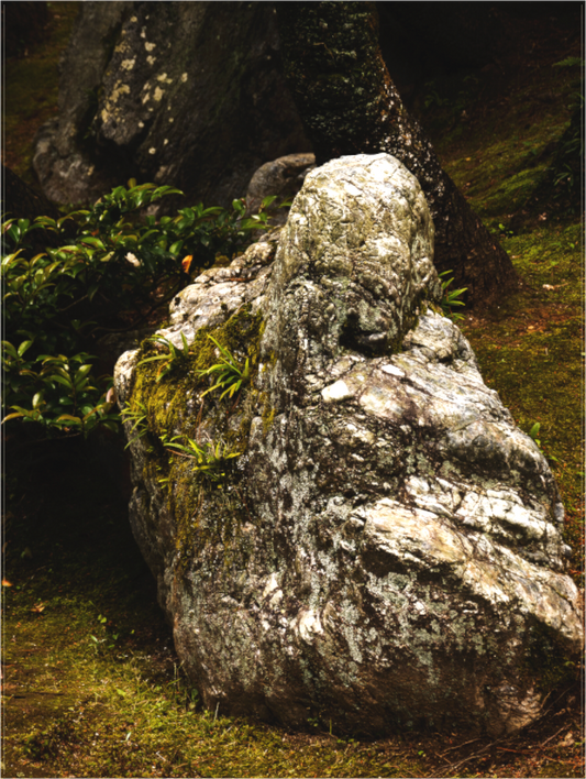 Sleeping Monk