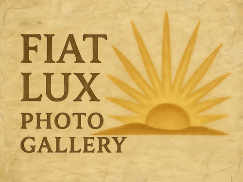 Fiat Lux Photo Gallery